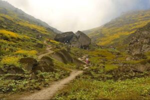 Lomas de Mangomarca